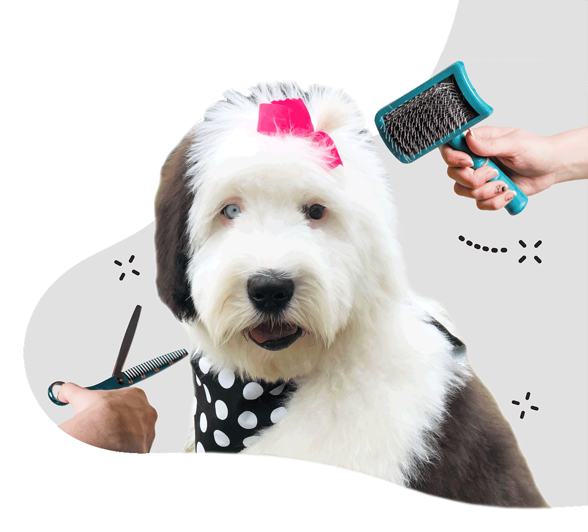 https://animalcrackerssouthlyon.com/wp-content/uploads/2021/07/GROOMING-Animal-Crackers-Hartland.png