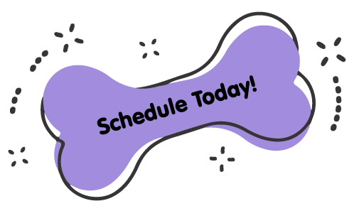 https://animalcrackerssouthlyon.com/wp-content/uploads/2021/09/Schedule-Today-Purple-Bone-1.png