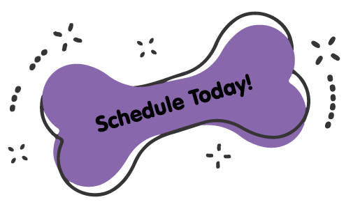https://animalcrackerssouthlyon.com/wp-content/uploads/2021/09/Schedule-Today-Purple-Bone.png