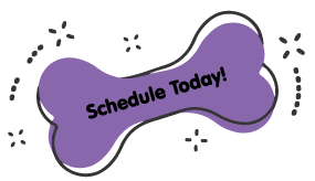 https://animalcrackerssouthlyon.com/wp-content/uploads/2021/09/book-today-purple-bone.png